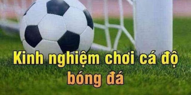 Hướng dẫn bắt kèo đúng cách theo luật bắt kèo bóng đá