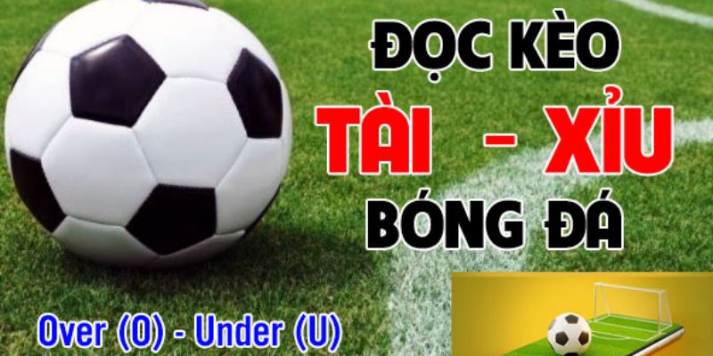 Cách đọc kèo tài xỉu và phân tích odds