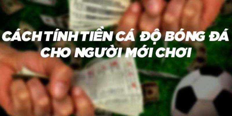 Cách tính tiền tỷ số bóng đá Cách tính tiền tỷ số bóng đá quan trọng như thế nào