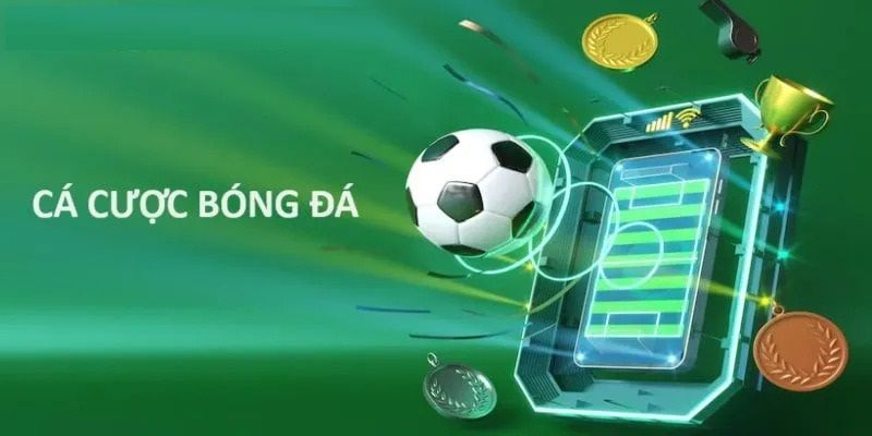 Đặc điểm của một nhà cái cá độ uy tín bạn nên biết