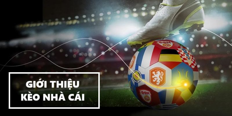 Vì sao cần một nền tảng giới thiệu chuẩn về thị trường kèo?