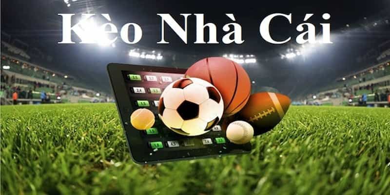 Những hạng mục nội dung được giới thiệu đầy đủ tại Kèo Nhà Cái