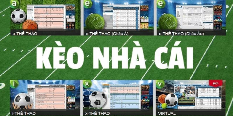 Giá trị thực tế từ việc đọc kỹ phần giới thiệu trên Kèo Nhà Cái