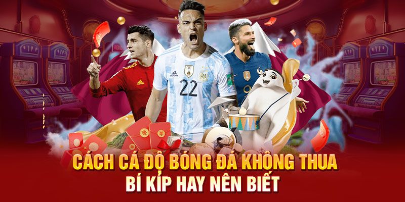 Những mẹo khi sử dụng tỷ lệ cá cược bóng đá để đặt cược thông minh