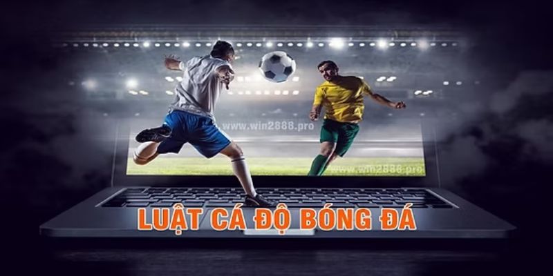 Tại sao cần hiểu rõ luật bắt kèo bóng đá?