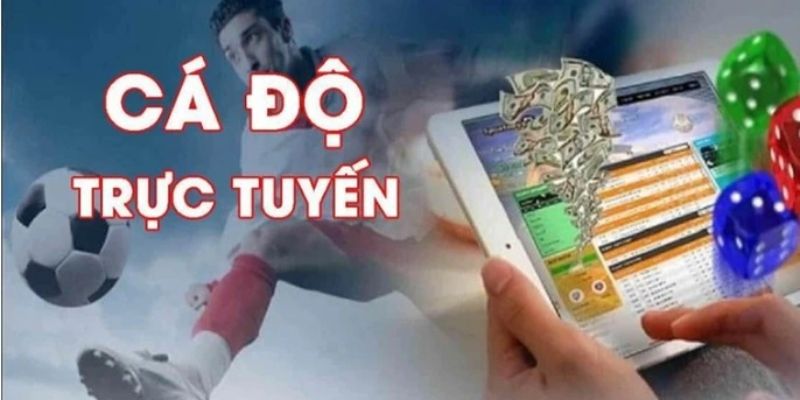 Cá độ bóng đá online Chiến lược giúp tăng tỷ lệ thắng khi cá độ bóng đá online