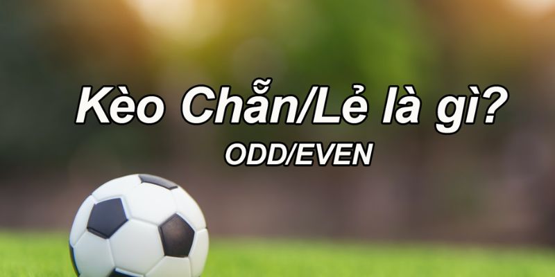 Tổng quan về kèo chẵn lẻ và cách vận hành trong hệ thống cá cược