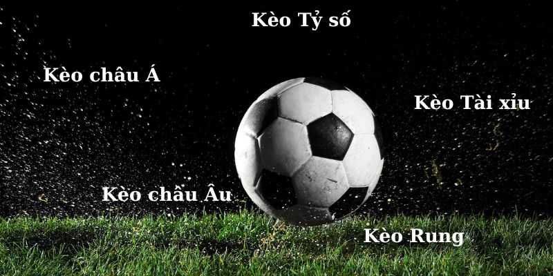 Ứng dụng chiến thuật từ kinh nghiệm người chơi chuyên sâu