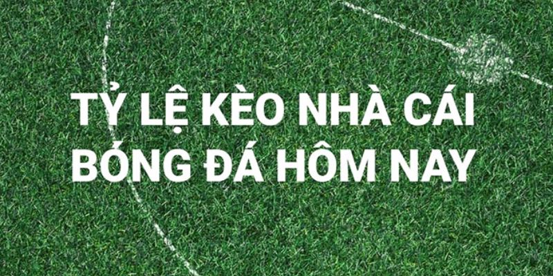 Ứng dụng tỷ lệ bóng đá hôm nay cho cả người chơi nghiệp dư và chuyên nghiệp