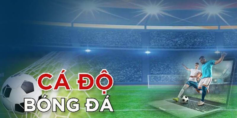 Cá độ bóng đá online Ưu điểm nổi bật khi chơi cá độ bóng đá online tại Kèo Nhà Cái