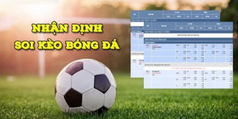 Vai trò của nhận định kèo nhà cái trong cá cược thể thao