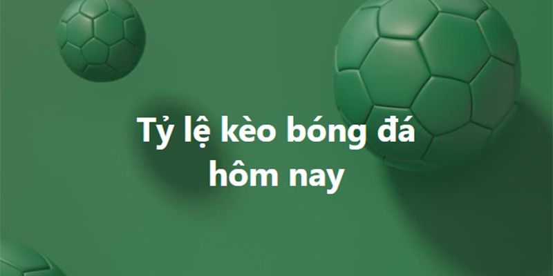 Vai trò của tỷ lệ bóng đá hôm nay trong phân tích và đặt cược