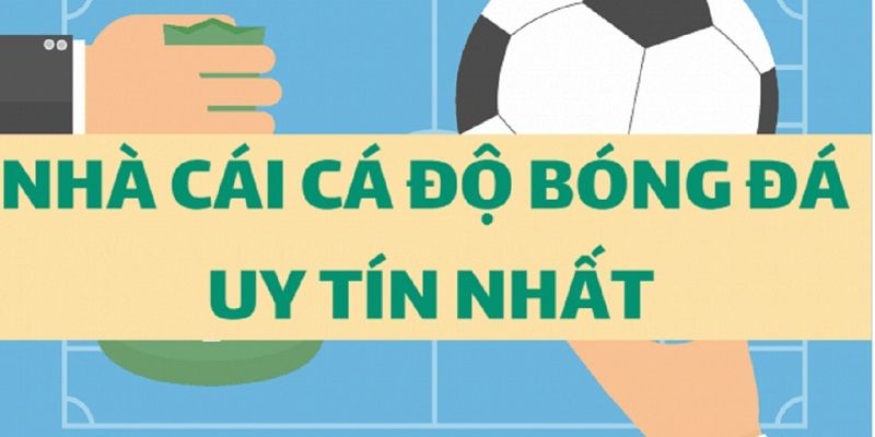 Vì sao lựa chọn cá độ uy tín là điều bắt buộc với người chơi?